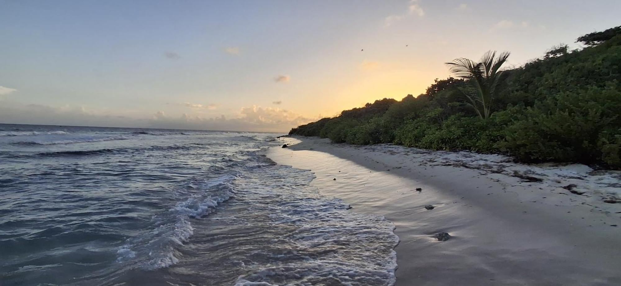 Villa Barbadine - Location Villa Guadeloupe Saint Francois 外观 照片